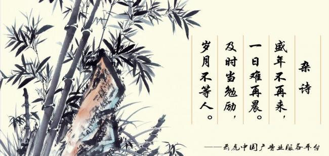 辦公室風水擺件，助你事業(yè)風生水起